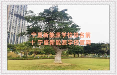 宁夏新能源学校排名前十 宁夏新能源学校官网